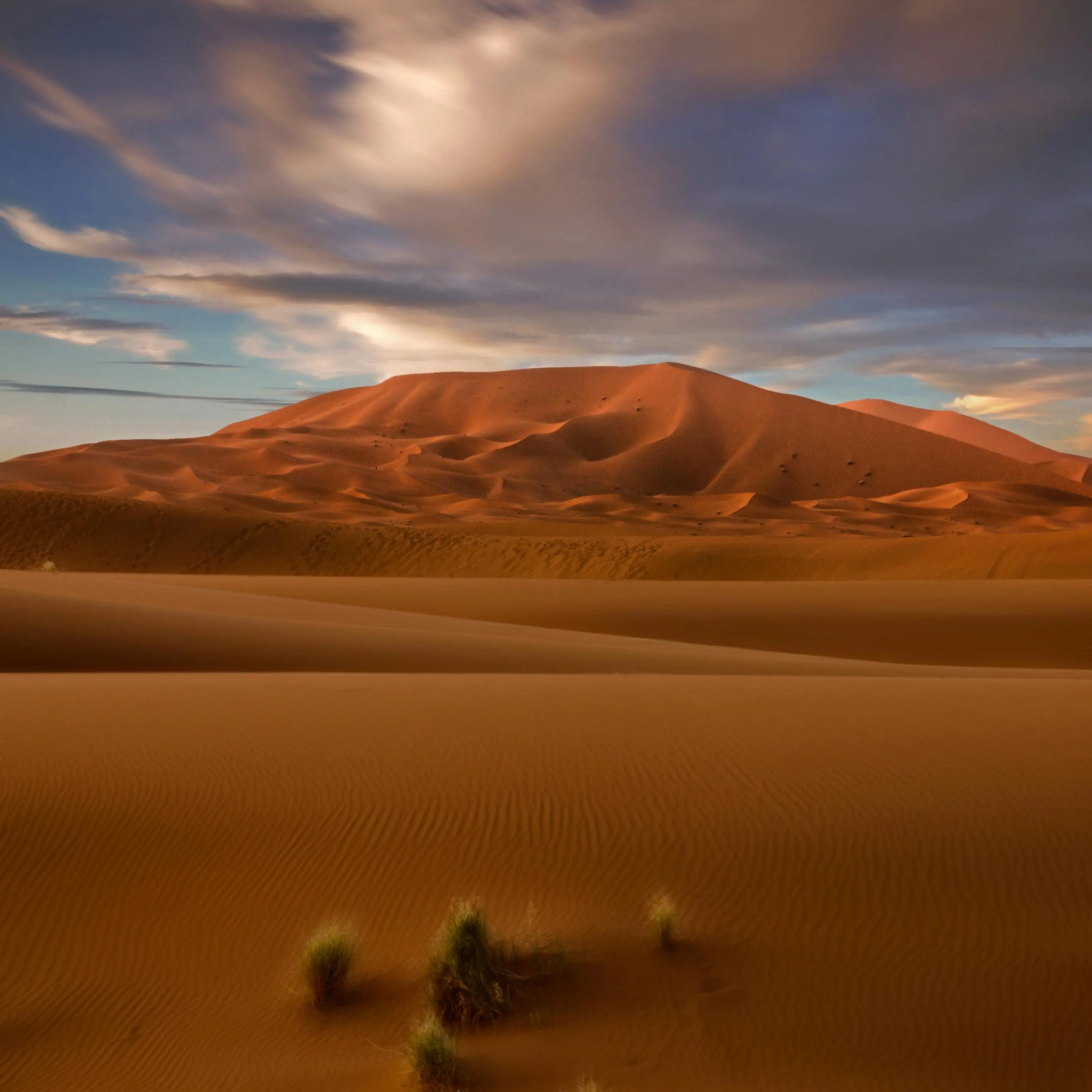 Vast sand dunes of the Sahara Desert in Morocco, with rippling patterns in the golden sand under a clear sky.