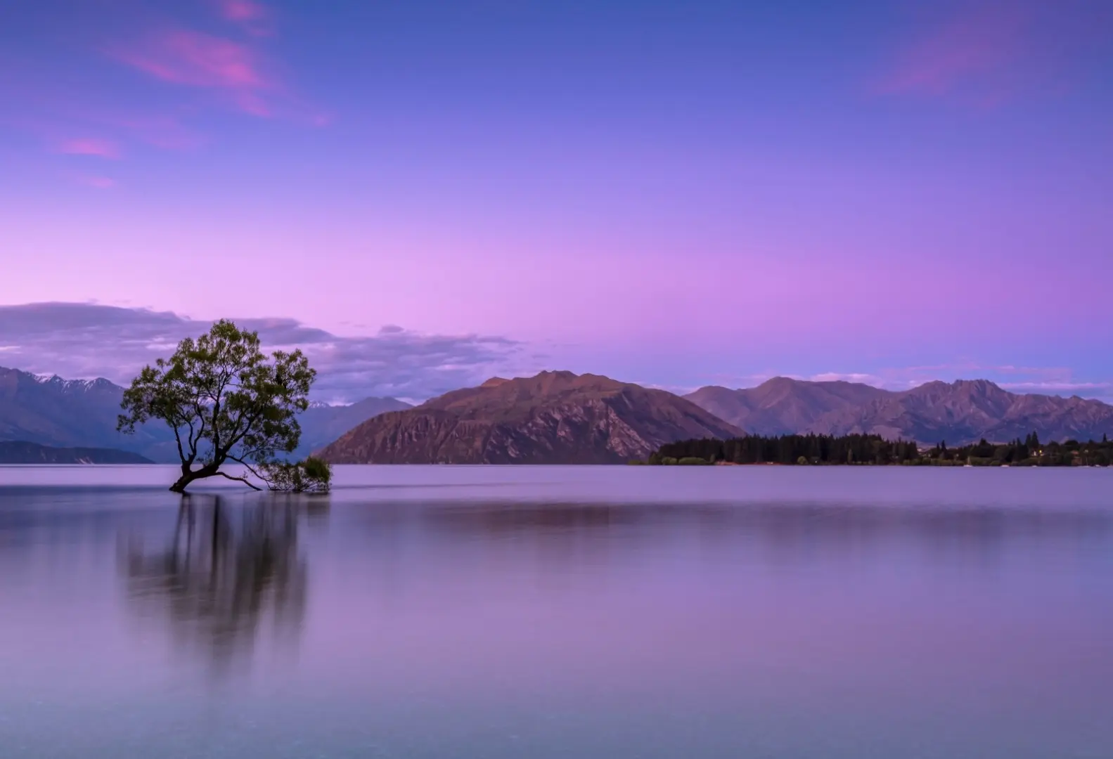 Lake Kivu,Lone tree in the middle of a large lake with mountains in the background